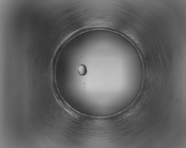 X0000073850933200608241039