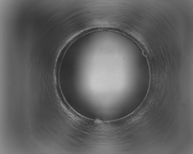 X0000073850935200608241039