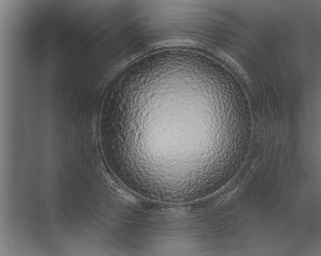 X0000073850937200608241039