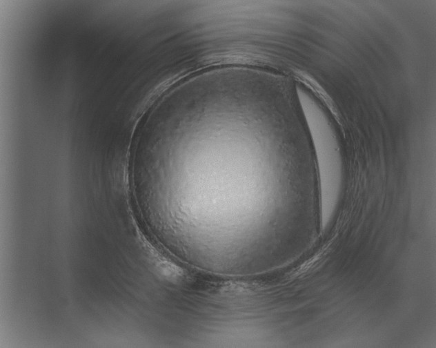 X0000073850938200608241039