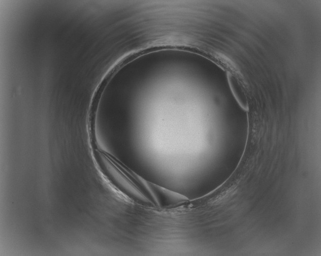 X0000073850942200608241039