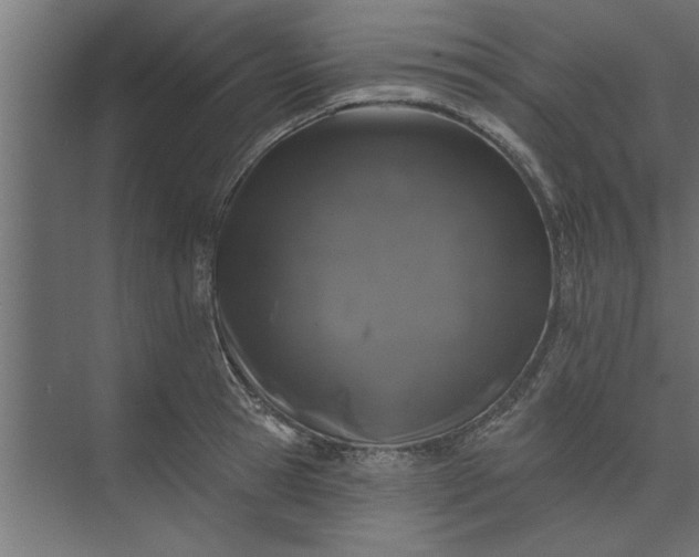 X0000073850945200608241039