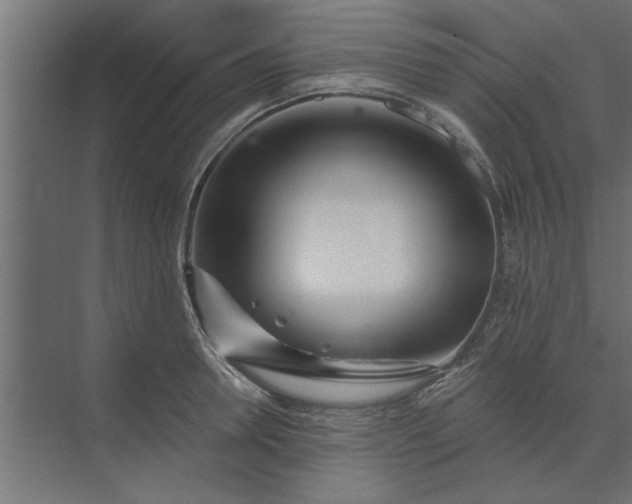 X0000073850946200608241039