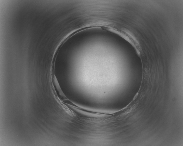 X0000073850948200608241039