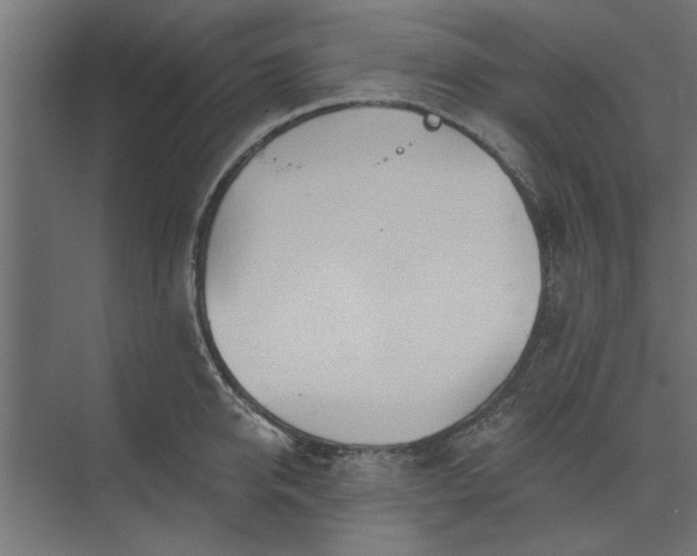 X0000073850950200608241039