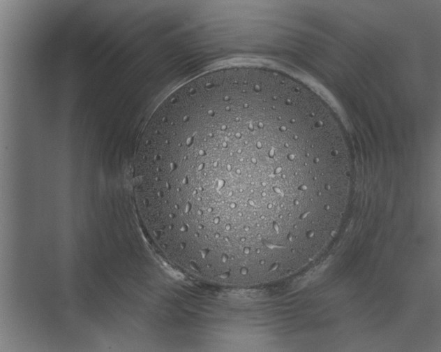 X0000073850953200608241039