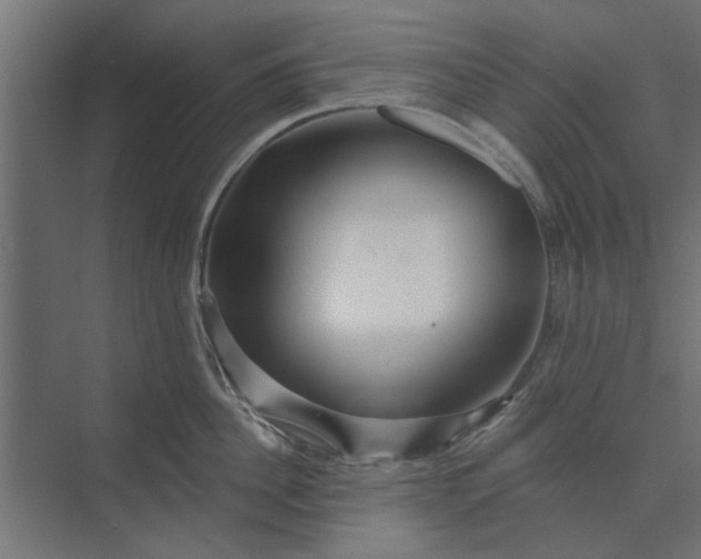 X0000073850956200608241039