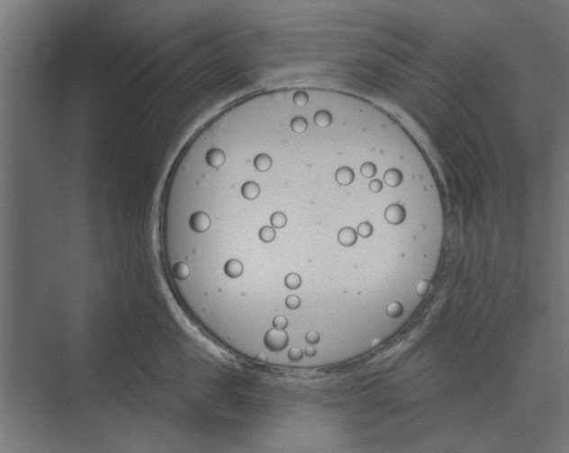 X0000073850957200608241039