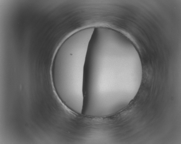 X0000073850959200608241039