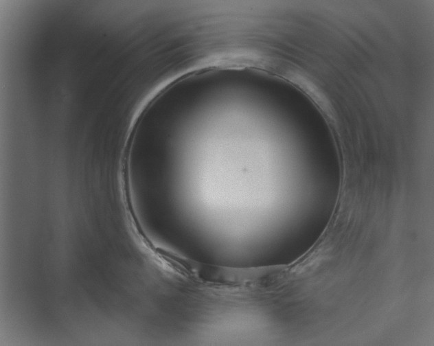 X0000073850960200608241039