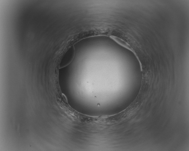 X0000073850961200608241038