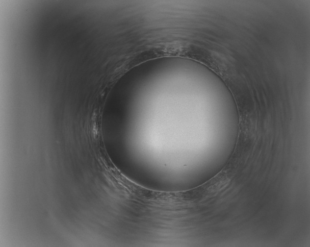 X0000073850962200608241038