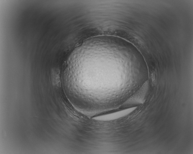 X0000073850963200608241038