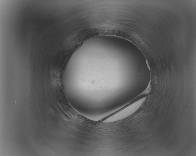 X0000073850964200608241038