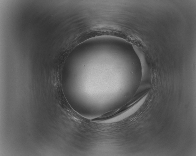 X0000073850965200608241038