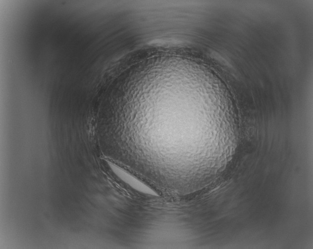 X0000073850966200608241038