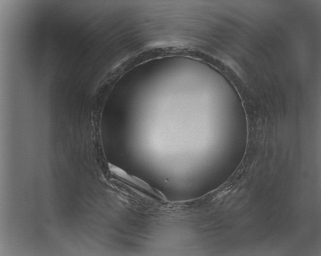 X0000073850967200608241038