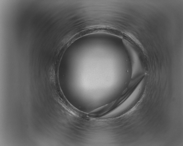 X0000073850969200608241038