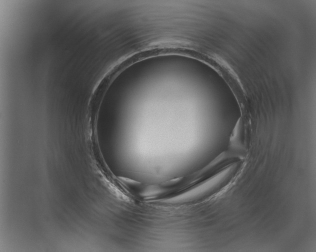 X0000073850973200608241038