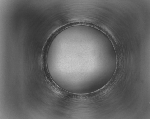 X0000073850975200608241038