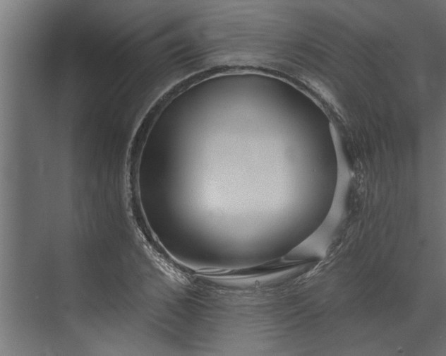 X0000073850976200608241038