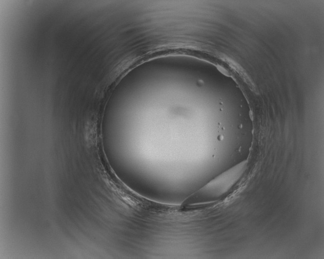 X0000073850977200608241038