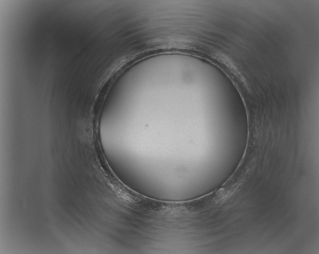 X0000073850978200608241038