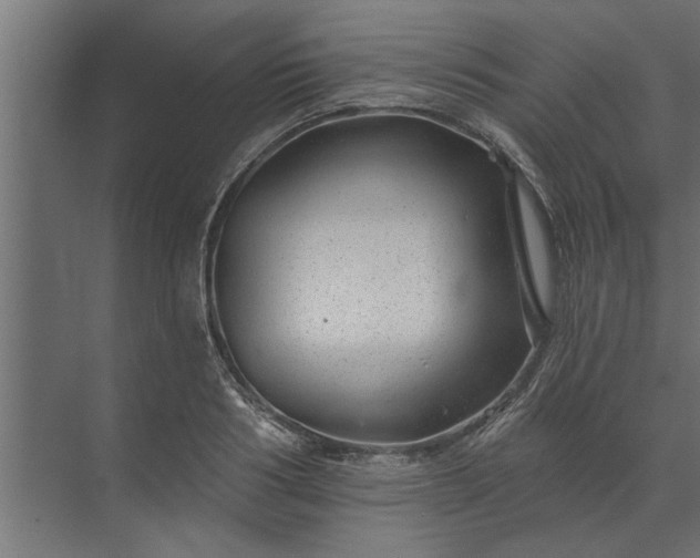 X0000073850986200608241038