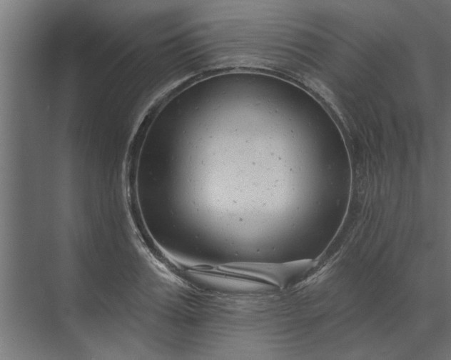 X0000073850987200608241038