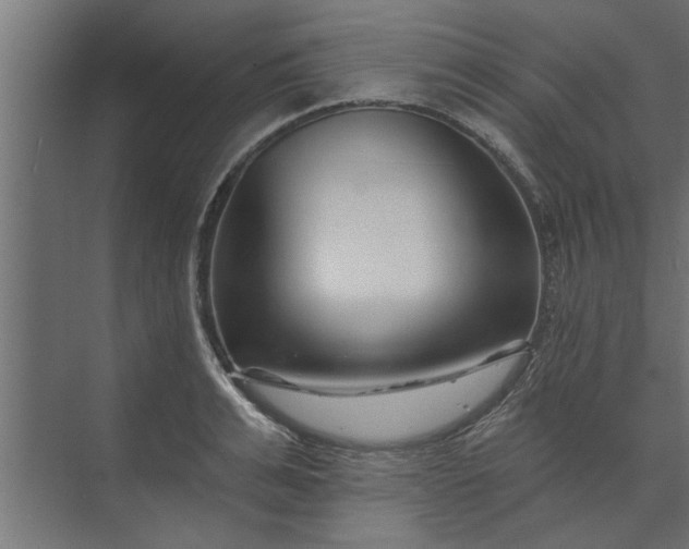 X0000073850991200608241038