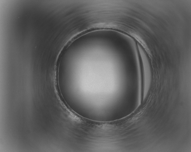 X0000073850992200608241038