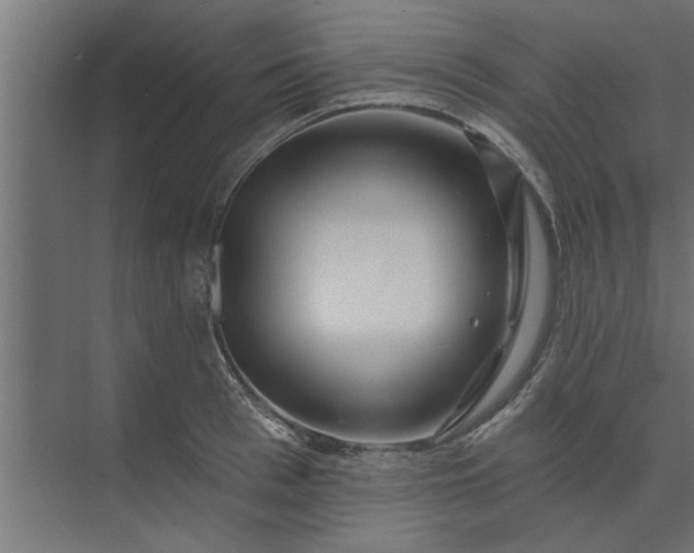 X0000073850993200608241038