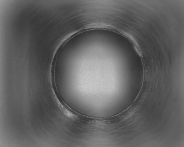 X0000073850995200608241038