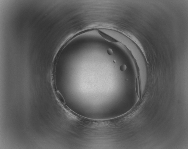 X0000073850997200608241038