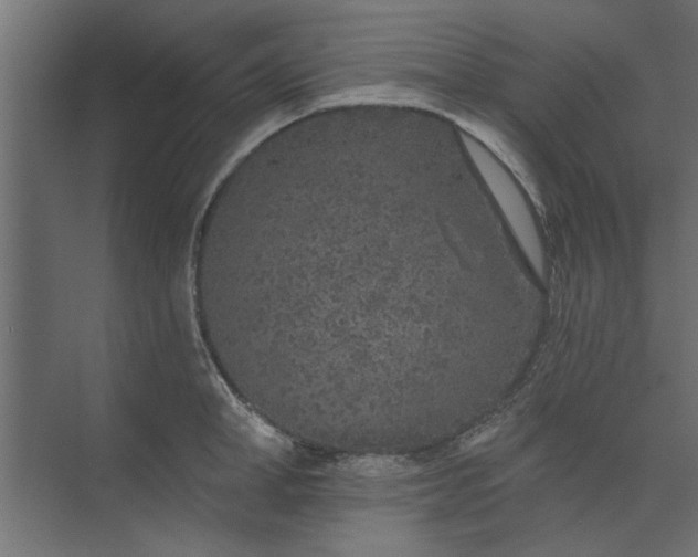 X0000073850998200608241038