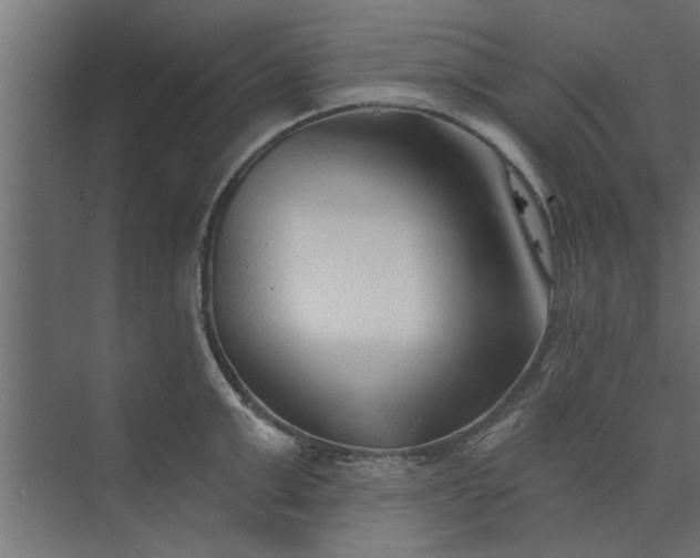 X0000073850999200608241038