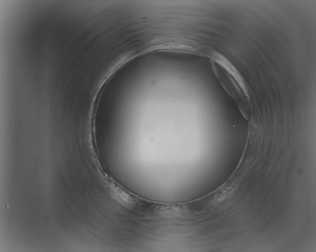 X0000073851002200608241038