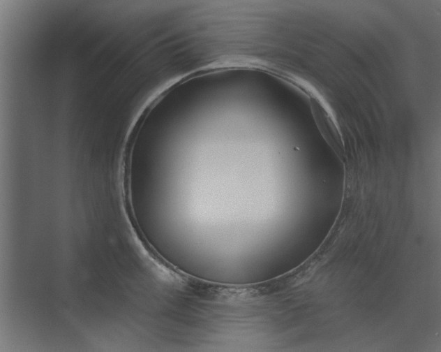 X0000073851003200608241038