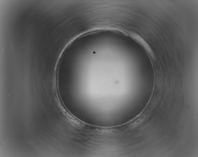 X0000073851004200608241038