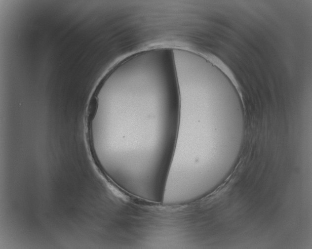 X0000073851005200608241038