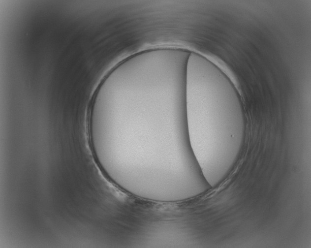 X0000073851006200608241038