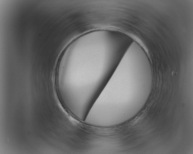 X0000073851007200608241038