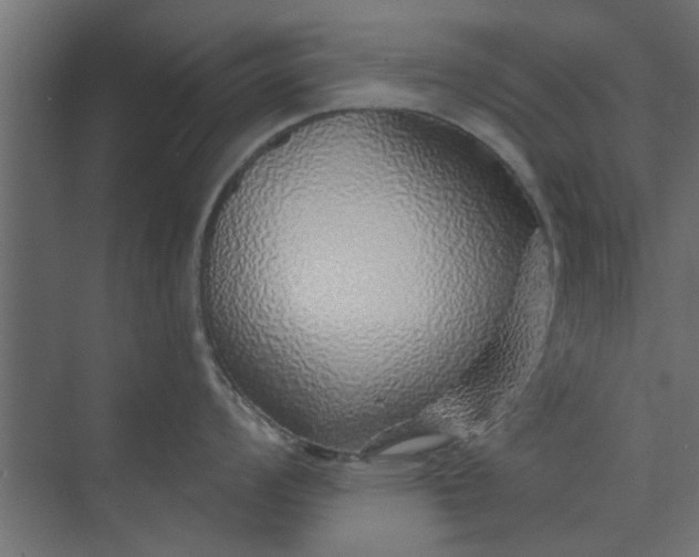 X0000073851008200608241038