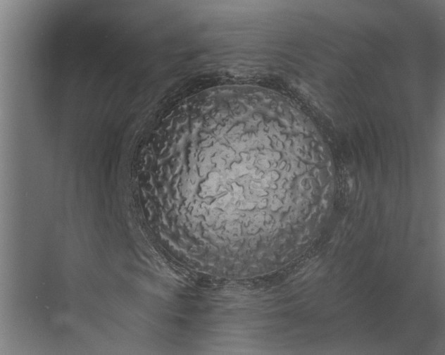 X0000073851009200608241037