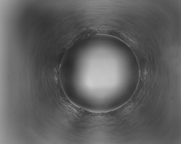 X0000073851010200608241037