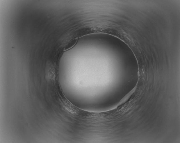 X0000073851012200608241037