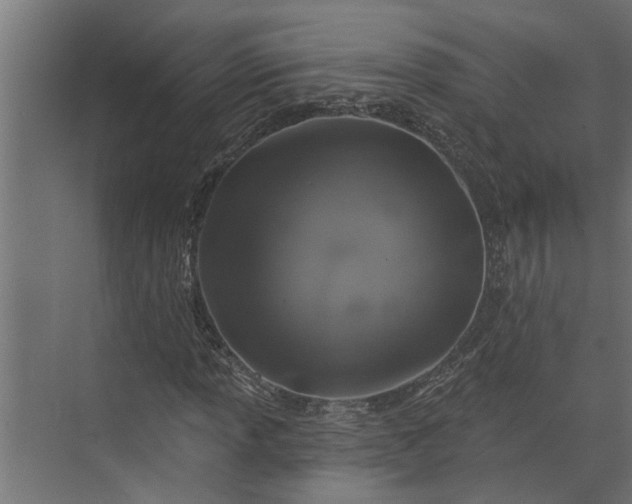 X0000073851013200608241037