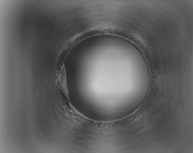 X0000073851016200608241037