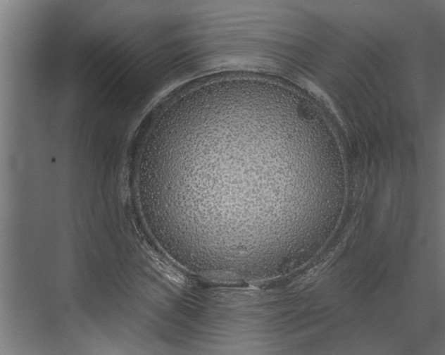 X0000073851019200608241037