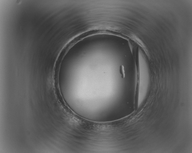 X0000073851020200608241037